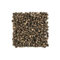 Jasmine Dragon Pearls hand-rolled green tea from The Delicious Plant